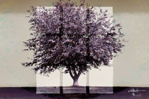 Window2 on a Purple Tree 3x2